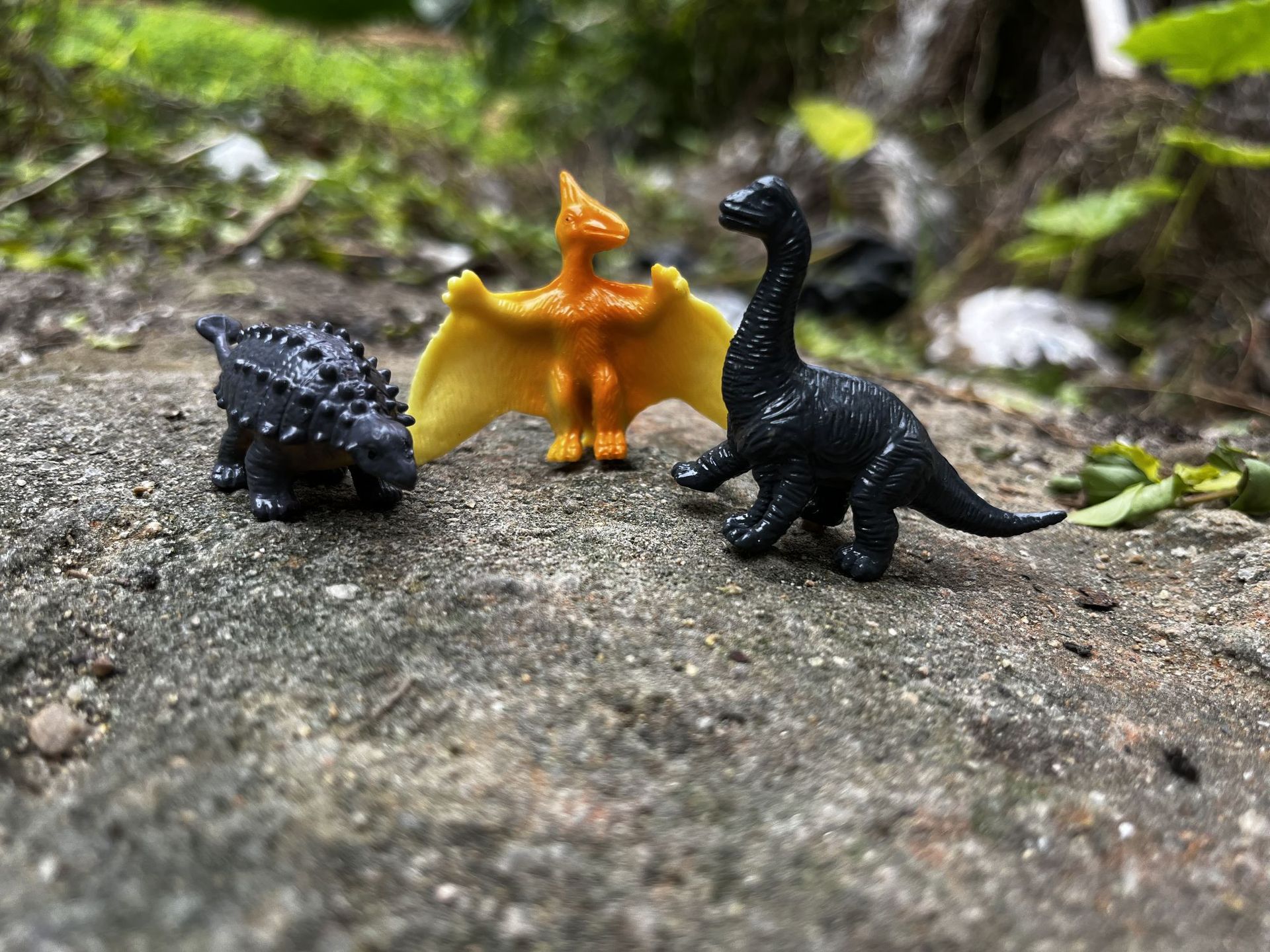 B801D2DF8ABEA54A7A4E09C242A9EF