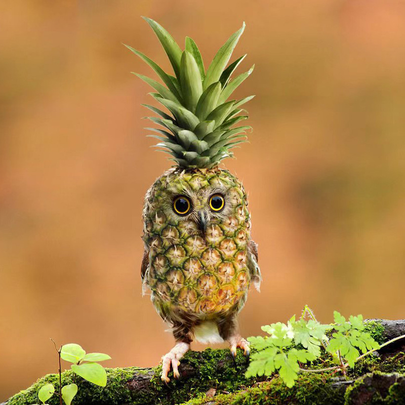 Garden Variation Pineapple Owl Resin Craft Ornament