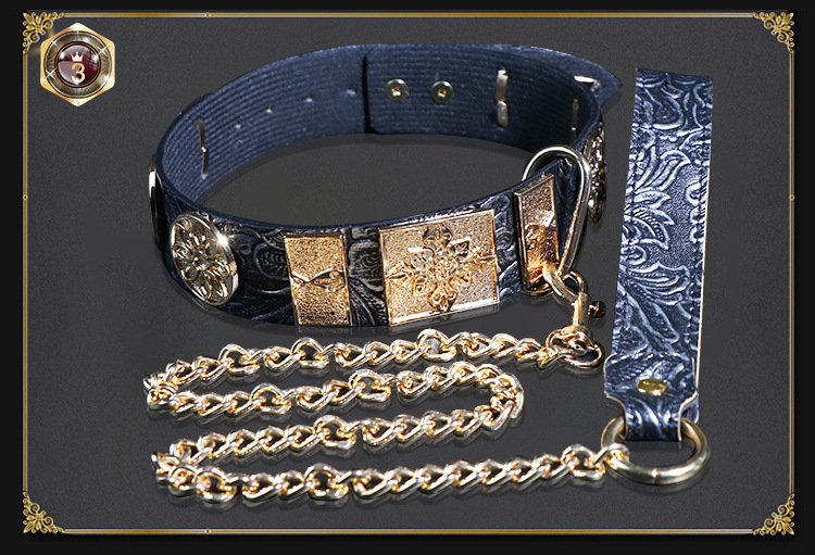 Jiuai SM Flying Fish Collar and Chain Set with Metal and Leather Bondage Accessories — detail image 5