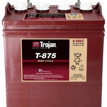 TroJan美國邱健蓄電池 T-875  8V170AH 起重器 電動升降機專用