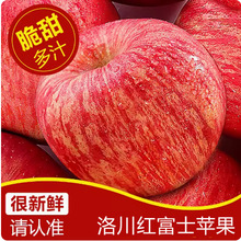 全年供应洛川红富士苹果新鲜应季孕妇水果脆甜多汁产地整箱批发