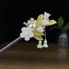 Hairpin 0672