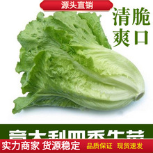 ������ļ����˷N�� �������ļ����߲˷N�� �����ˬ���̨������