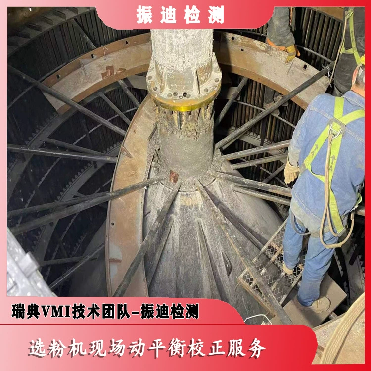 Услуги по коррекции динамической балансировки на площадке для селективной машины для порошков Шведская техническая команда VMI