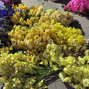 �Sɫϵ���滨��Y�����Sɫ�����m�S����ٺϻ�����õ��ܛ�b����