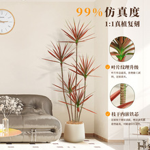 ǧľGֲpݴ҃ȿ͏dѪٻֲؔ[