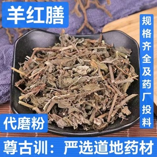 ��t�� ��ș�����l ����� ���º� Ʒ�N�Rȫ �o�s�oѬ �н�ӆ��