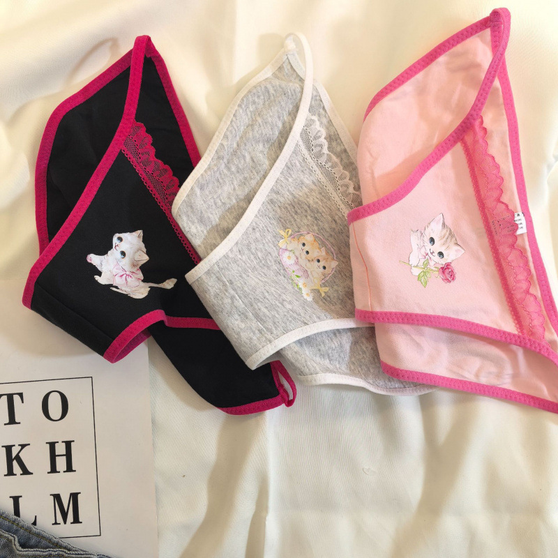 Vintage Japanese Sweet Cool Kitten Underwear Women's Y2K Lace Kitten Girl Underwear Cotton Stall