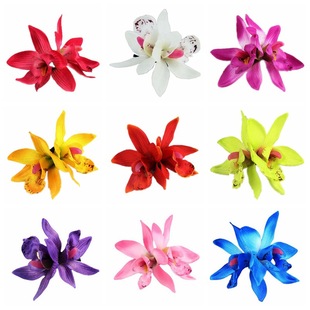 ins�L�羳�p���m����l�A�ļ����滨߅�A�����ׁ��ȼ��^���l�Ů