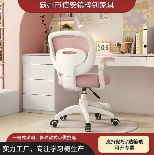 Study Chair, Adjustable Sitting Chair, Writing Chair, Backrest Chair, Office Chair, Computer Chair, Student Study Stool
