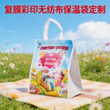 保温袋定制印logo无纺布覆膜手提袋 生鲜冷链配送包 广告促销礼品