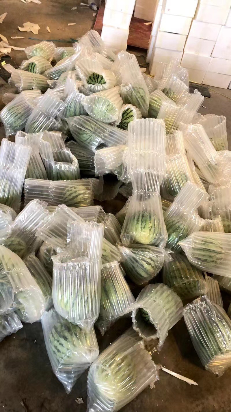 微信图片_20230612163132