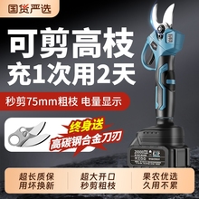 늄Ӽ������ʽ�@�ֹ�����֦�������늼���֦늼��Ӽ�֦