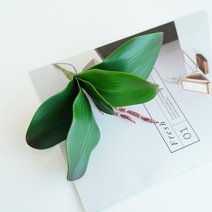 �����m�~�����ָ�ܛ�z�廨����~�ӻ�c�Ҿ��b����컨�Gֲ����