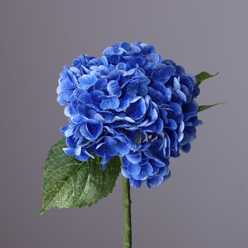 Bleu foncé