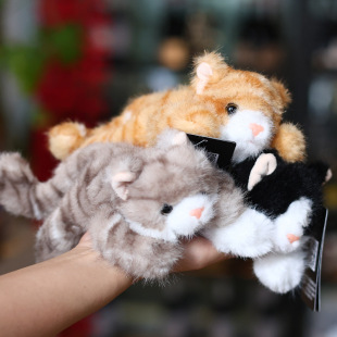 ����ڴ�ϵ��ë�q��߿ɐ�С؈�䃺ͯ������ż������Ů�����նY��