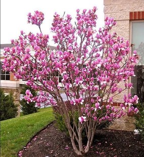 һ�����l�����m����ɼtһ̖���m��޽����m����t���m�����m����