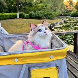 婴儿推车;宠物推车;童车座椅配件