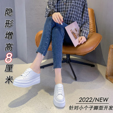 �����ߺ����ƤŮЬ����2024�¿��@�����e�ٴ��ɸ��С����ŮЬ