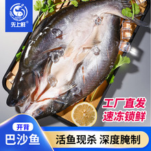 开背巴沙鱼新鲜冷冻商用整箱湄公鱼无刺鱼烤鱼半成品凌波鱼龙利鱼