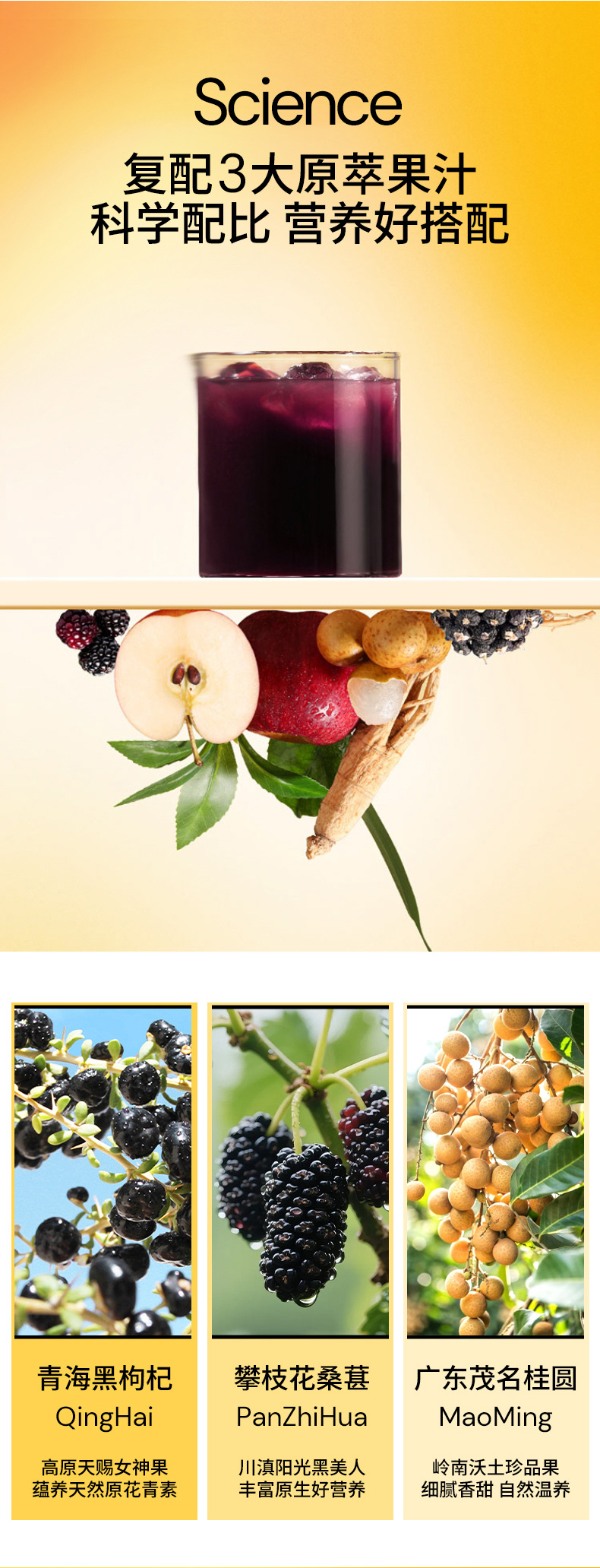 Guiyuan Xiyangshen Drink with Black Goji and Mulberry 1800ml 60 Sachets Value Pack quality and texture