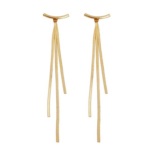 Metal tassel earrings for women summer long Korean style high-end earrings ins cool style niche design earrings