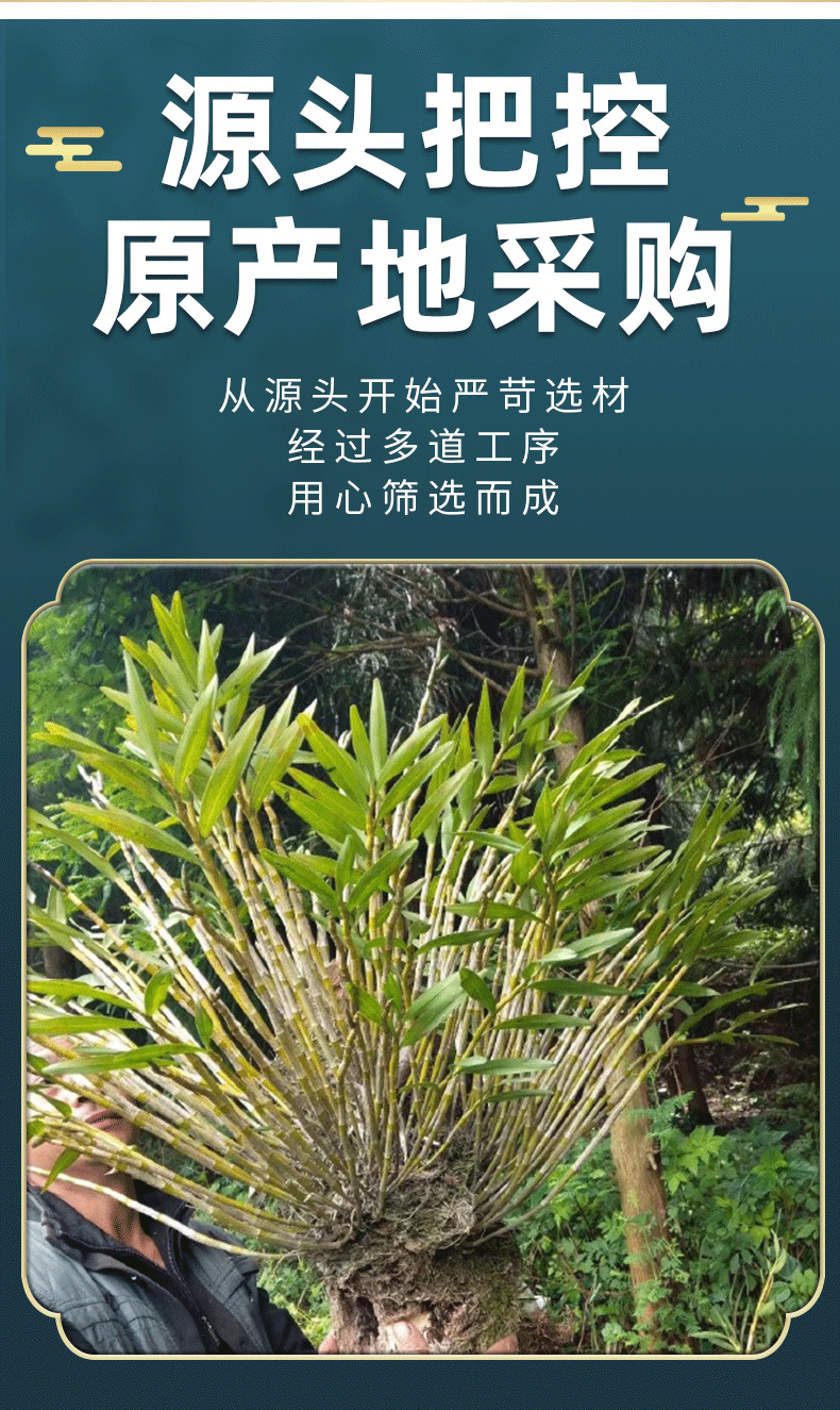 Dried Dendrobium Stems Huang Cao Shi Hu Cut Herbal Tea and Soup Herb 500g Sun Dried key features