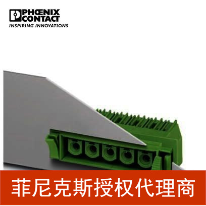 菲尼克斯穿墙式插座DFK-IPC 16/ 2-G-10,16-1702413