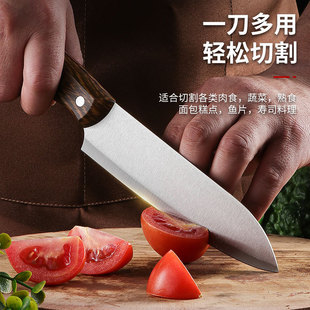 Factory for outdoor camping dinner portable knife family kitchen cutting fruit knife sharp and easy to clean knife