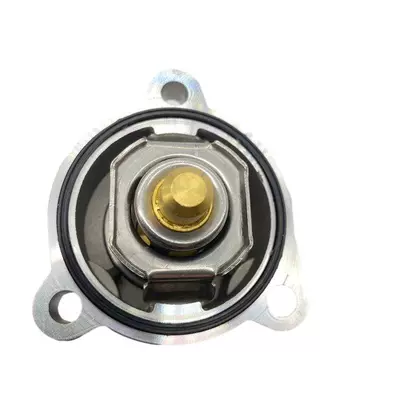 Thermostat for Buick Chevrolet
