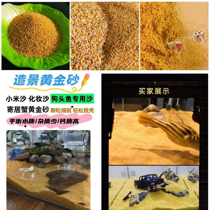 黄金沙南美三湖鼠鱼底砂天然细河沙水草砂化妆沙鱼缸草缸水陆造景