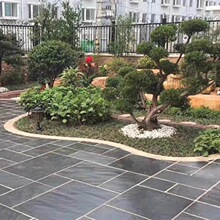 ���K��ʯ���ֹ���Ȼ��ͥԺ�شu������̨�����·�e���ŏV��