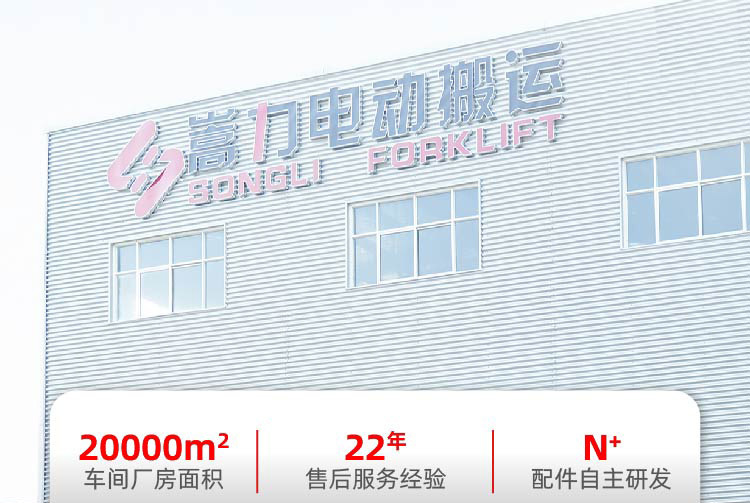 双起升堆高车   (2).jpg