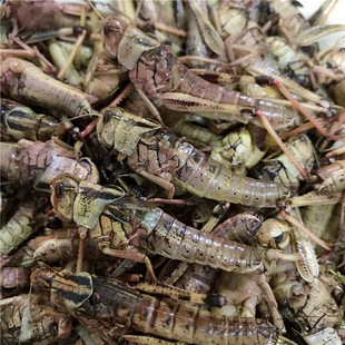 2024��Λ�����r���x���x����x����ʳ��ը��ʳ����|���w���B�~