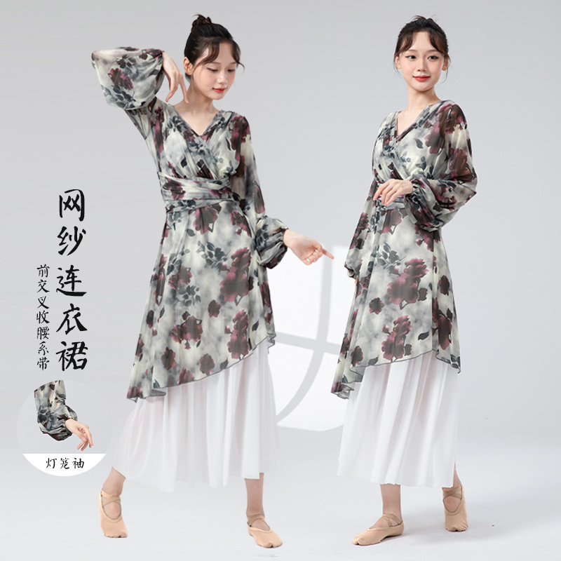 古典舞练功服女新款网纱连衣裙前开叉系带中国风舞蹈日常演出服装|undefined