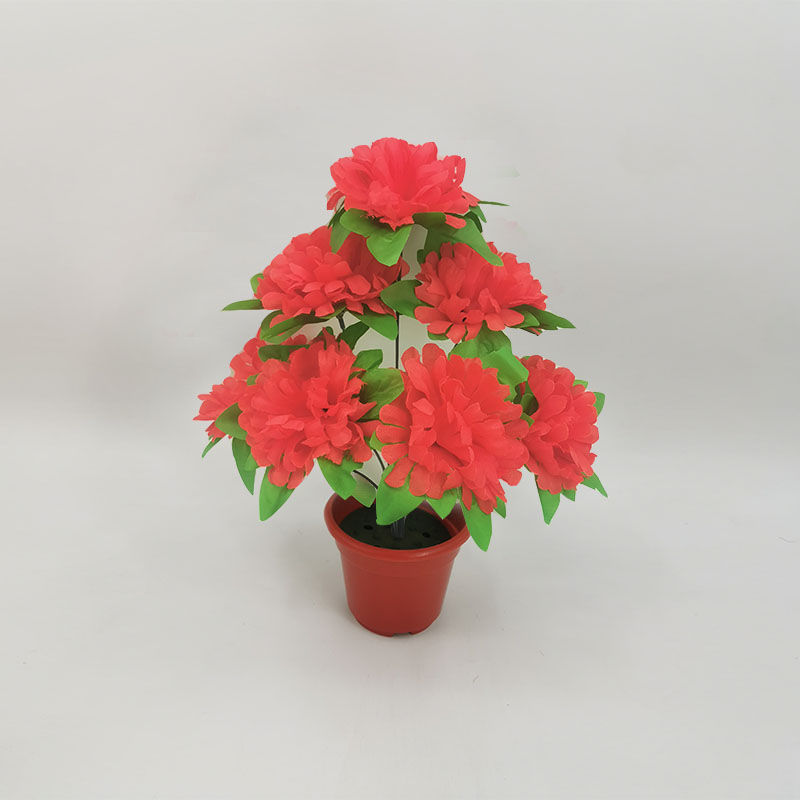 7-headed chrysanthemum with leaves (red) 1 branch - 1 branch + flowerpot quality choice