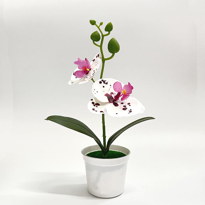 흰색 도트 보라색 (높이 25*가로 13cm)