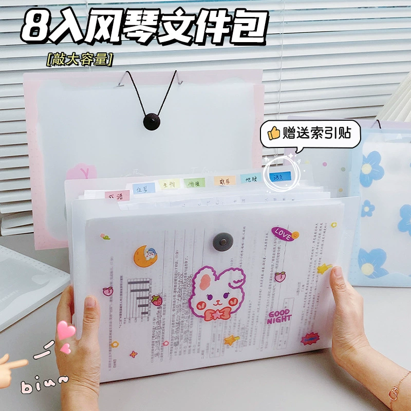 Capacious organ, multilayer bag for documents, storage system, folder for folders