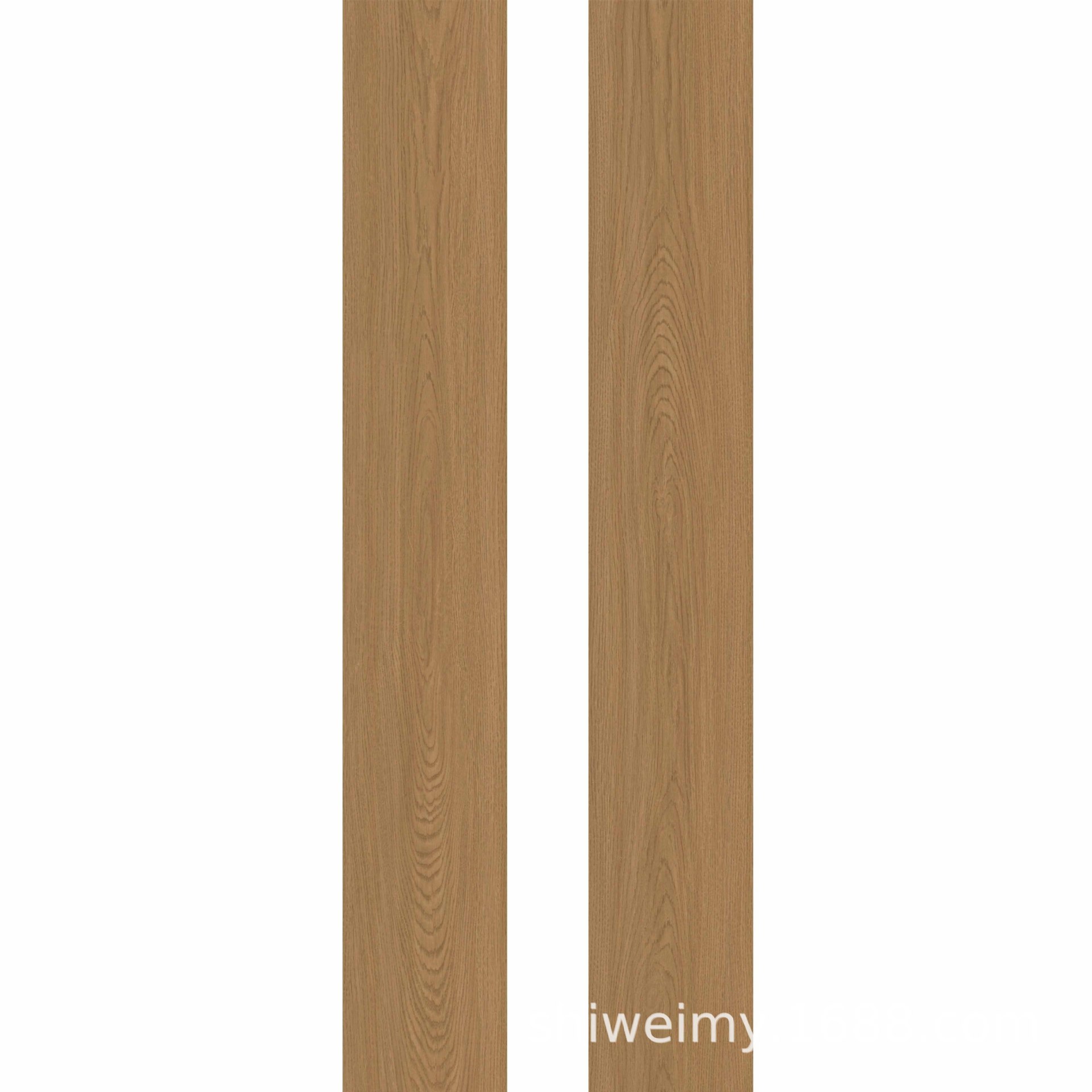8024