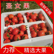 �t�}Ů��С����С���t�����r����ˮ���a��ֱ�����l5��3���Q�����l