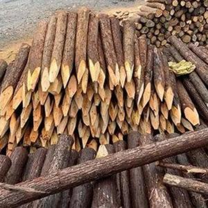 杉木原木桩防洪防汛水利工程渗水作业耐低温加固补强安全厂家直销