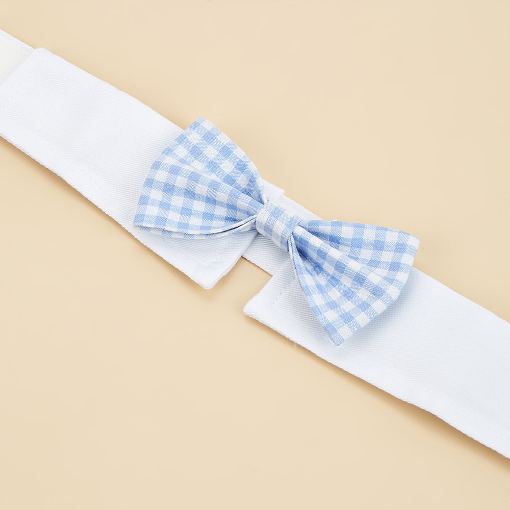 Tanpopo transfronterizo nuevo producto multicolor guapo mascota corbata velcro ajustable mascota accesorios arco