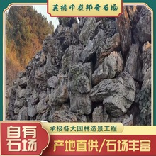 产地供应英德观赏石假山景观石庭院造景青龙石园林英石绿化点叠石