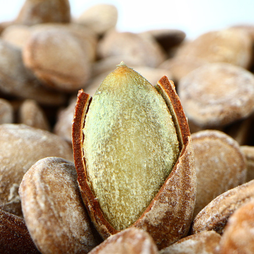 Jinlong Fried Nuts Watermelon Seeds Sunflower Seeds Pumpkin Seeds 18 Cans/Box Packaged Popular Leisure Snacks Local Specialty