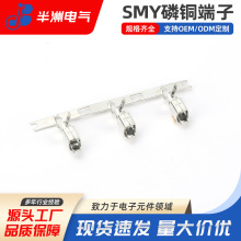 ���~SMY���ӹ�ĸ���� �����䉺���� ��Ƭ������ ���Ԫ�����