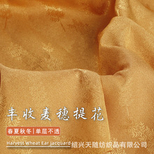 当天发新款提花面料 高档复古风旗袍汉服连衣裙衬衫面料现货