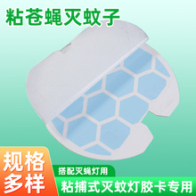 TNճʽωzճxð岶ҏNm