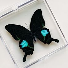 ������˱��[��͸���н̌W��Ʒ�����YƷ�Ĕz���߄����ֹ�diy�b�