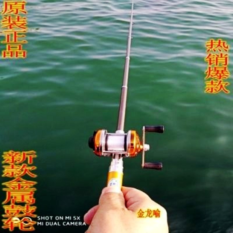 大鼓轮金_conew1