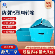 PE中空板蔬菜箱防潮折叠PE瓦楞箱水果荔枝防潮运输周转箱定制